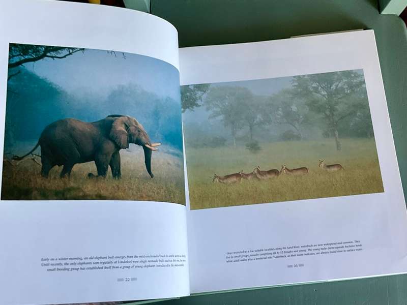 The Leopards of Londolozi by Lex Hes