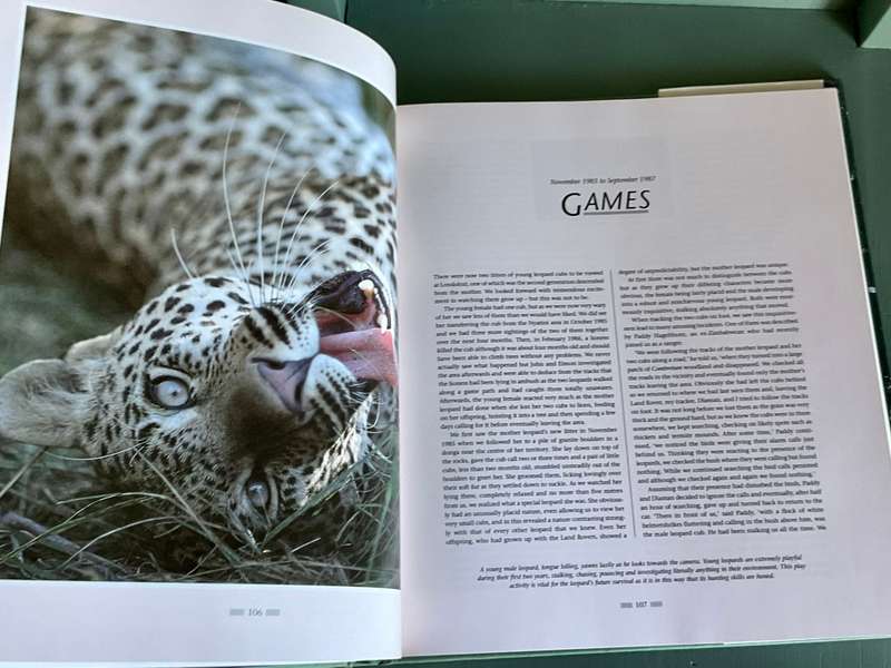 The Leopards of Londolozi by Lex Hes