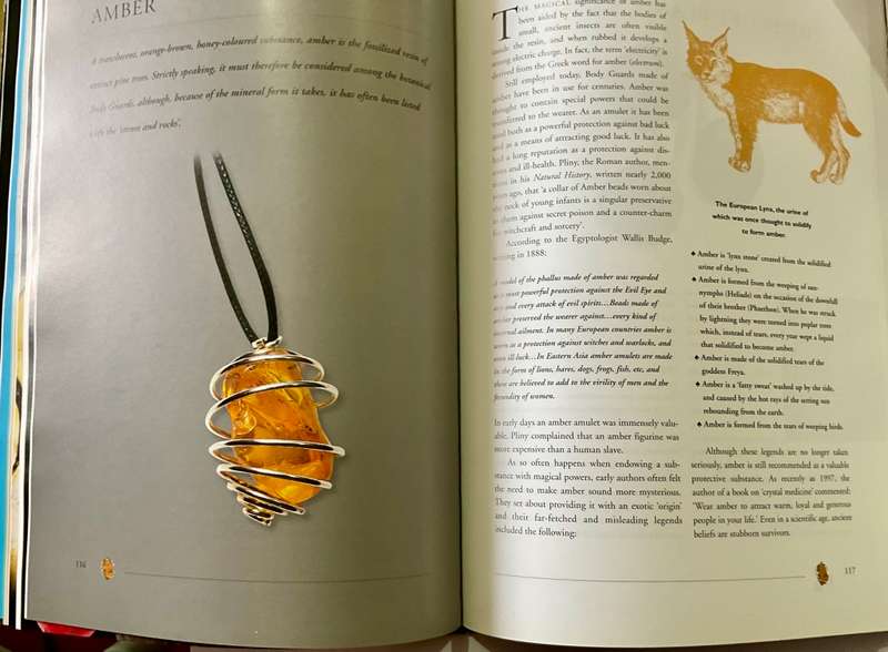 Body Guards: Protective Amulets & Charms ~ Desmond Morris