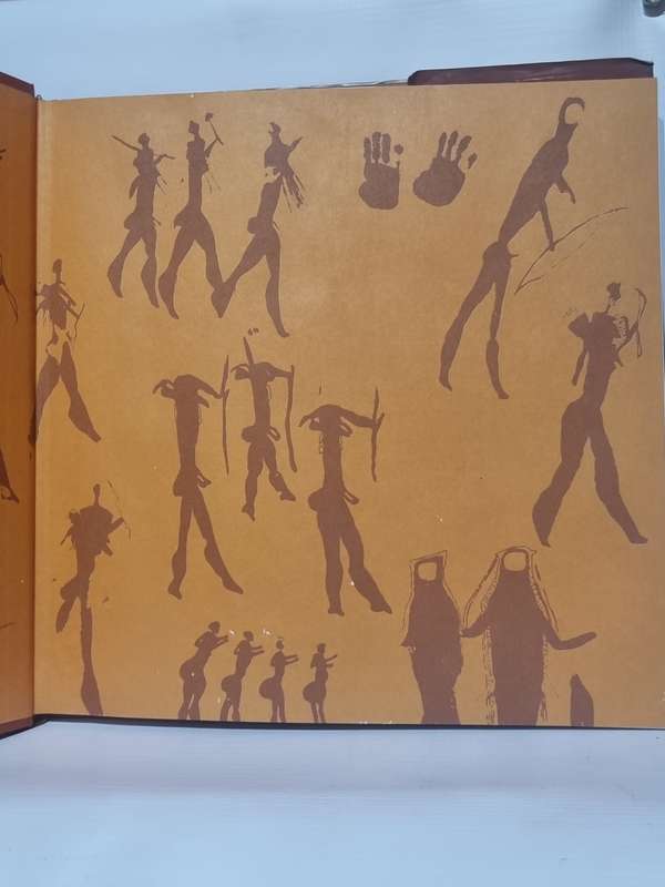 Rock Paintings of South Africa - Revealing a Legacy by Stephen Townley Bassett | Poor condition