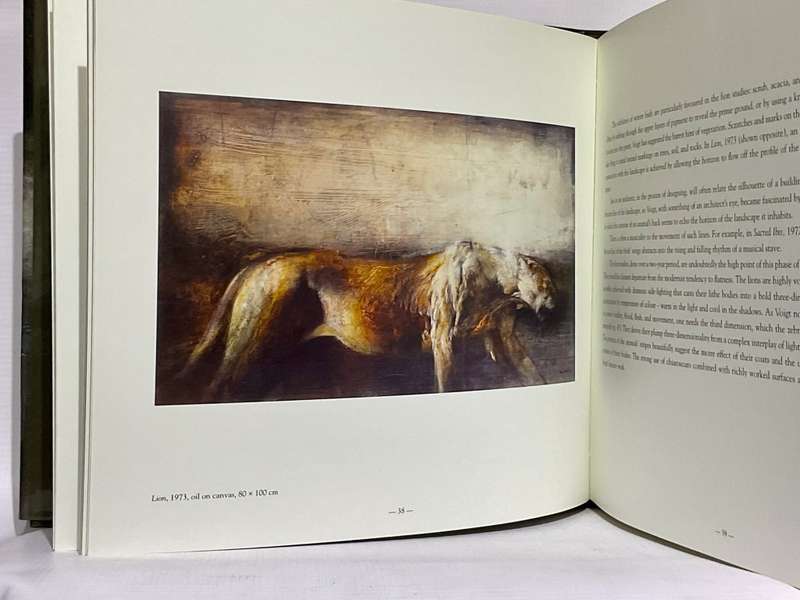 Harold Voigt - The Poetry of Sight by Cyril Coetzee | Hardcover in excellent condition