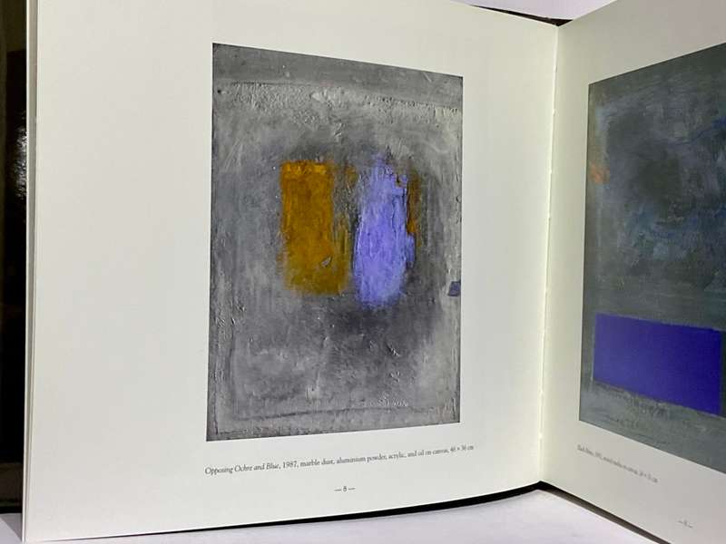 Harold Voigt - The Poetry of Sight by Cyril Coetzee | Hardcover in excellent condition