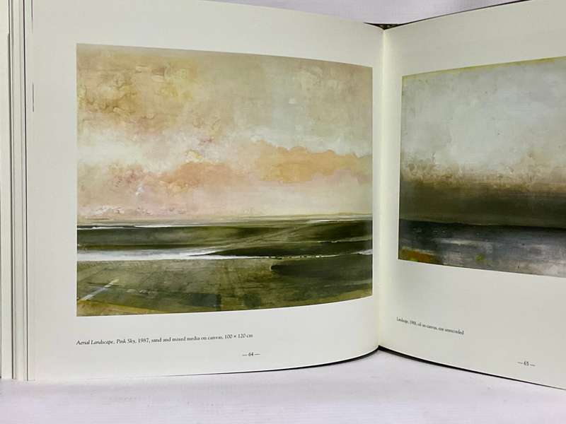 Harold Voigt - The Poetry of Sight by Cyril Coetzee | Hardcover in excellent condition