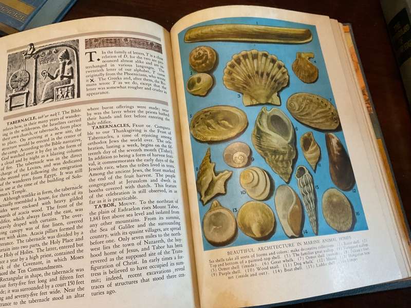 The Wonderland of Knowledge: A New Pictorial Encyclopedia 1946 12 Volumes A - Zwi