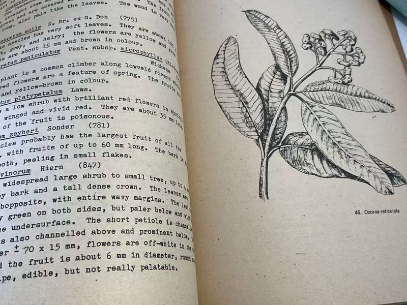 Some Common Trees and Shrubs of Zimbabwe Rhodesia by Graham Guy and Peter Guy