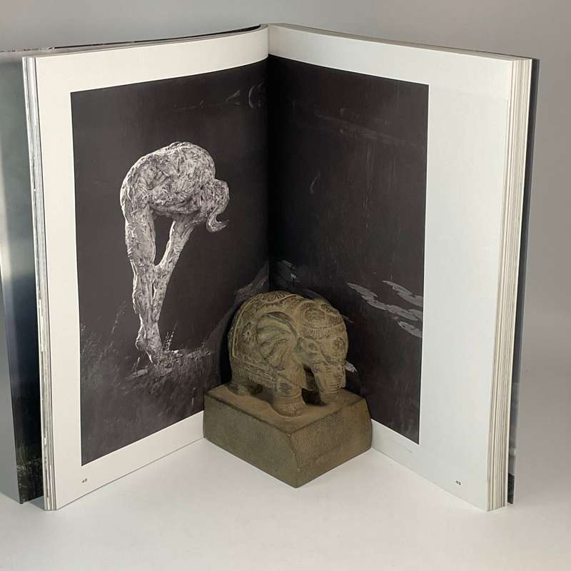 Dylan Lewis: An Untamed Force | Signed & inscribed