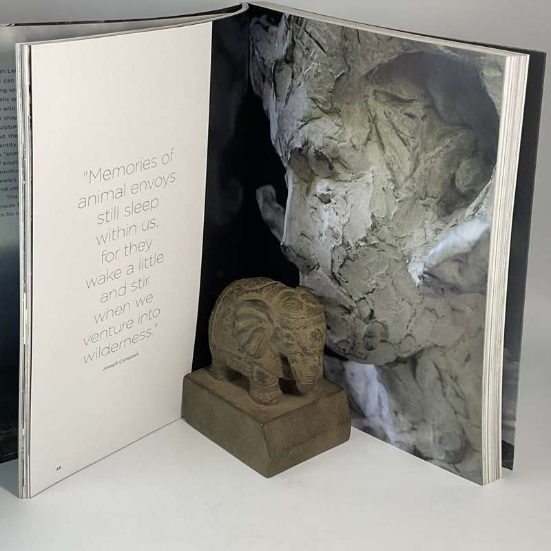 Dylan Lewis: An Untamed Force | Signed & inscribed
