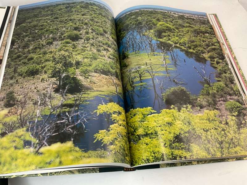 The Lions and Elephants of the Chobe: Botswana by Bruce Aiken - Signed Collectors Edition