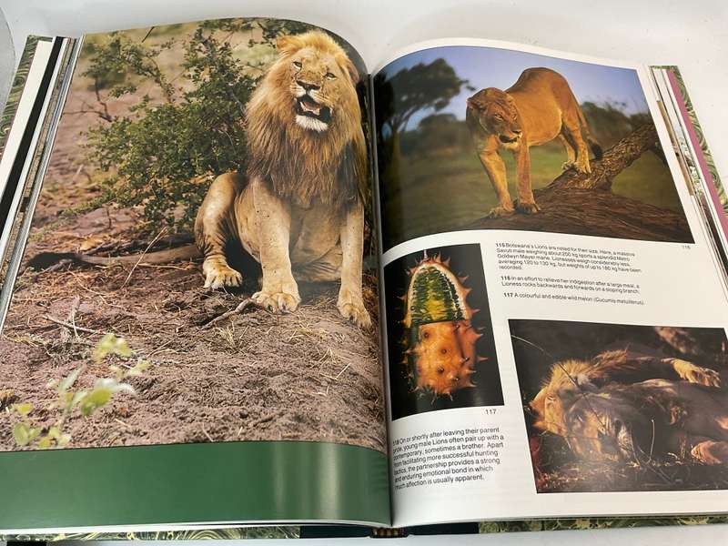 The Lions and Elephants of the Chobe: Botswana by Bruce Aiken - Signed Collectors Edition