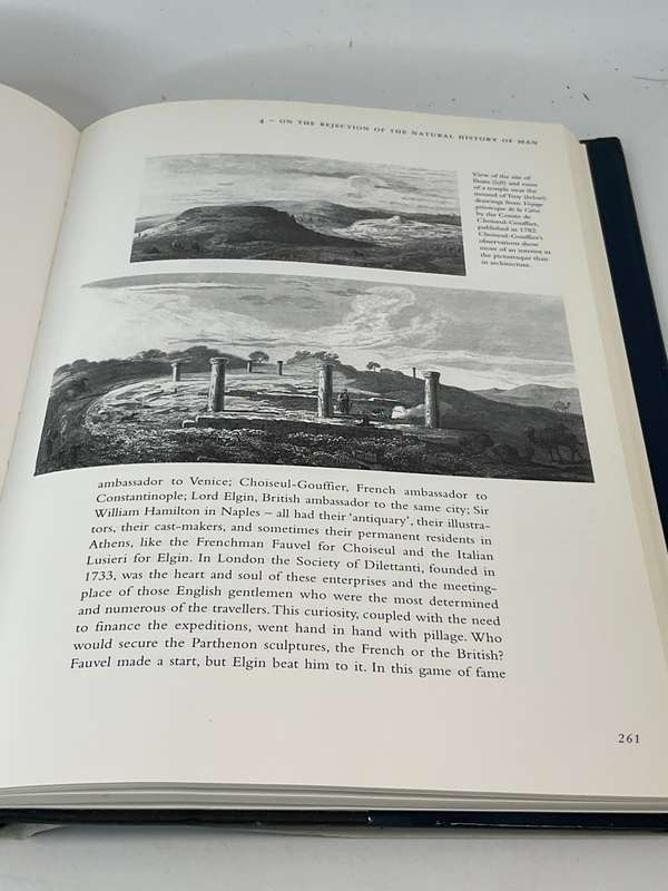 The Discovery of the Past: The Origins of Archaeology by Alain Schnapp
