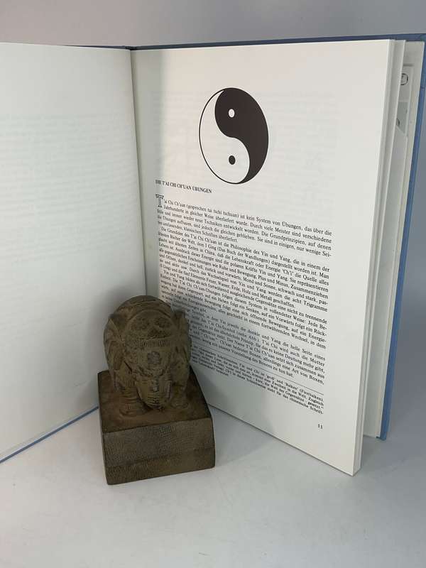 T'ai Chi Ch'uan Ein praktisches Handbuch zum Selbststudium | Tai Chi Chuan - Toyo & Petra Kobayashi