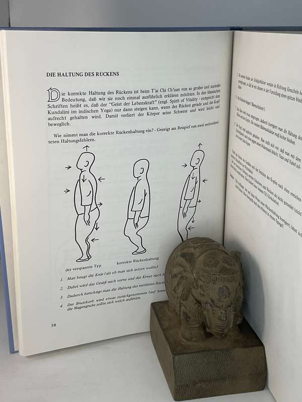 T'ai Chi Ch'uan Ein praktisches Handbuch zum Selbststudium | Tai Chi Chuan - Toyo & Petra Kobayashi