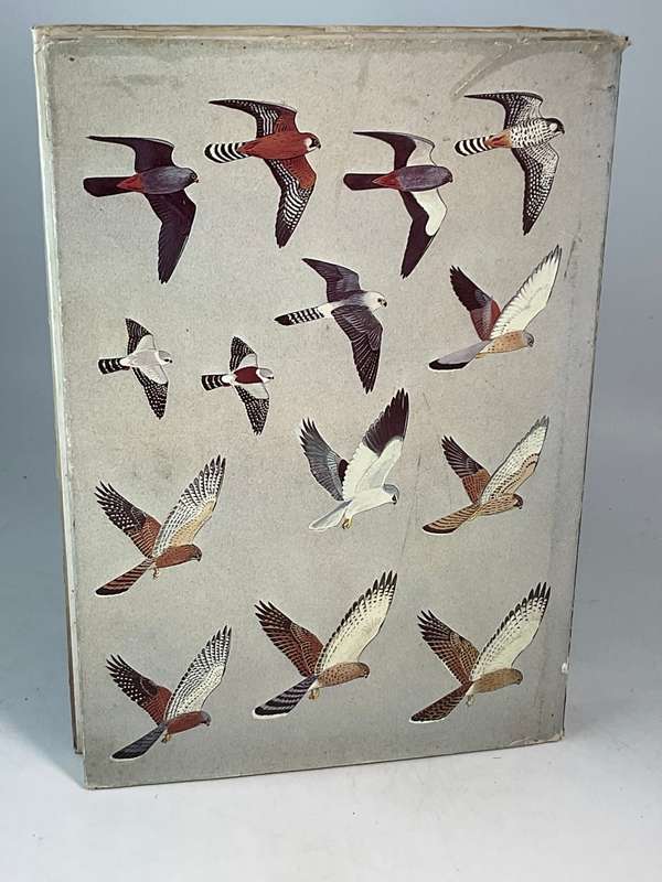 Birds of Prey of Southern Africa - Peter Steyn | Signed