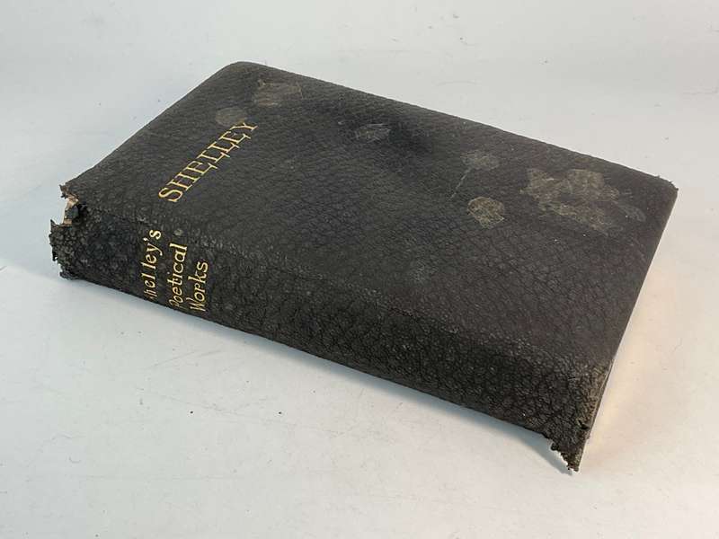 Shelley ~ Shelleys Poetical Works