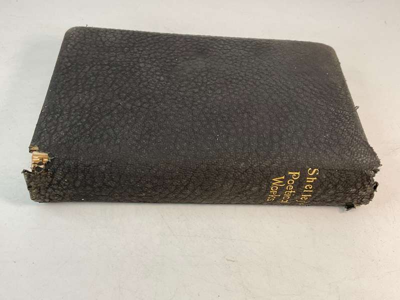 Shelley ~ Shelleys Poetical Works