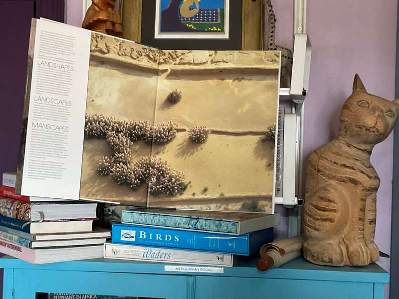South Africa: Landshapes, Landscapes, Manscapes by Herman Potgieter & Guy Butler | Mint Condition