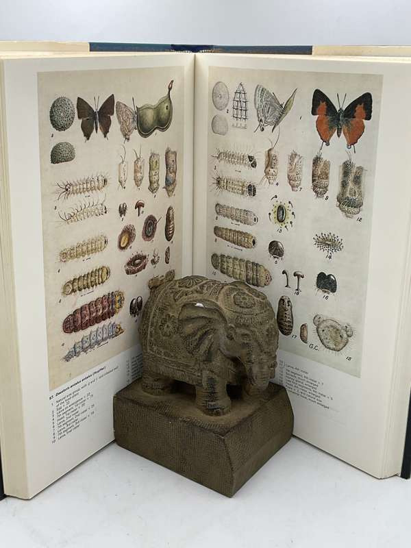 Life Histories of the South African Lycaenid Butterflies - Gowan C Clark & CGC Dickson