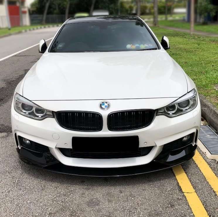 BMW F32 front lip