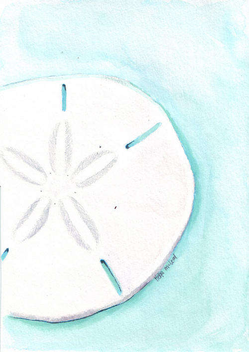 Sand dollar Original Watercolor Painting on Paper