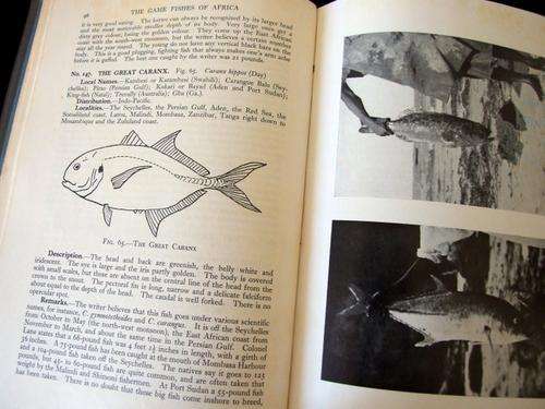 THE GAME FISHES OF AFRICA by Hugh Copley, 1952
