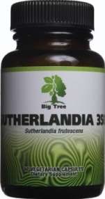 BIG TREE: Sutherlandia frutescens 350mg Capsule x 60