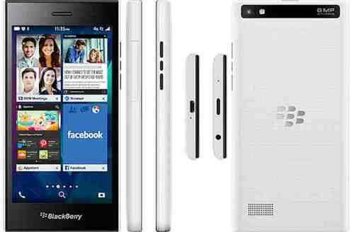 Blackberry Leap for Sale R2000