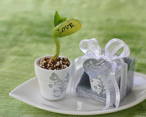 Wedding Favours - Love Beans