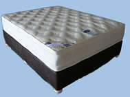 New Queen size bed & base