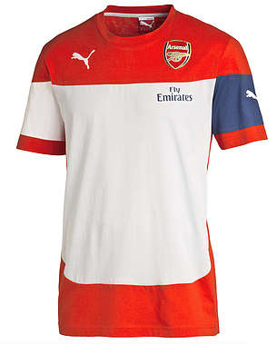 Official Arsenal Leisure Jersey (Junior)