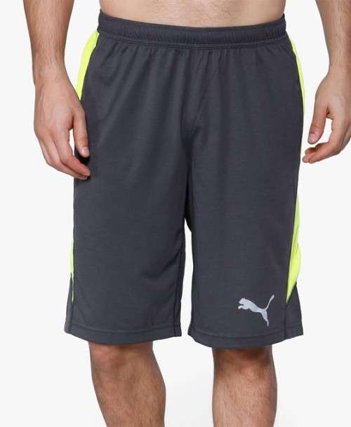 Puma Dry Release Shorts