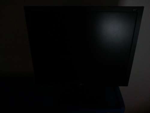 LG Flatron L1919S (Black)