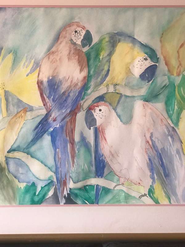 Stunning Huge Water Colour Painting 3 x Parrots in Tropical Tree Original size 95cm x 75cm Signed