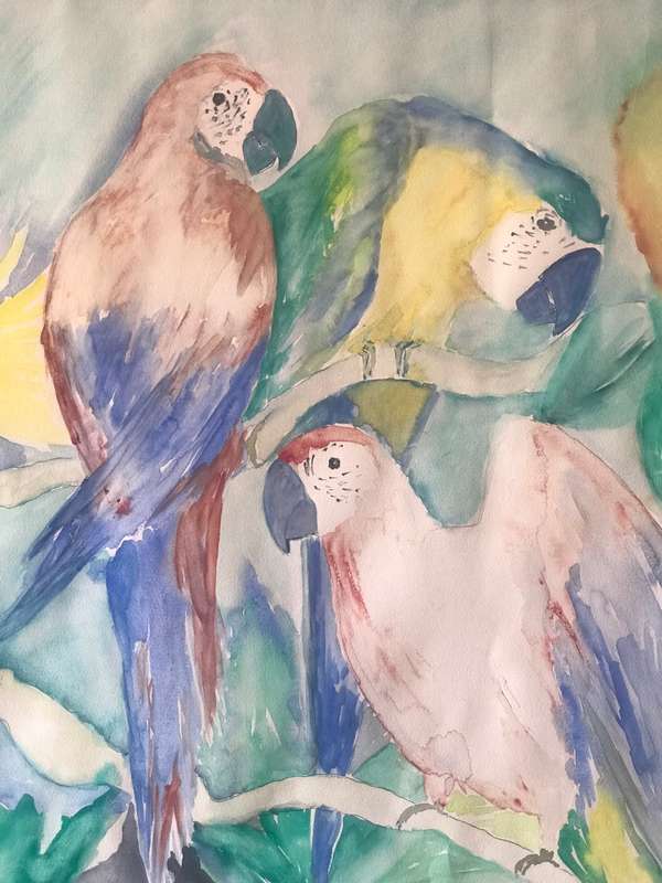 Stunning Huge Water Colour Painting 3 x Parrots in Tropical Tree Original size 95cm x 75cm Signed