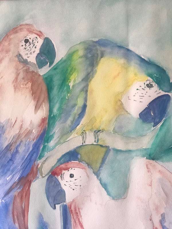 Stunning Huge Water Colour Painting 3 x Parrots in Tropical Tree Original size 95cm x 75cm Signed