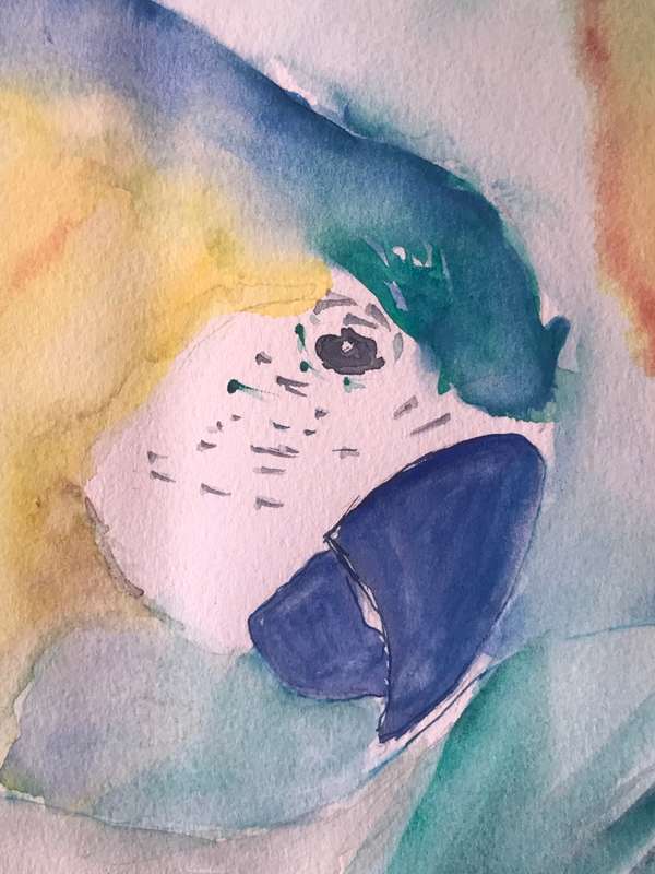 Stunning Huge Water Colour Painting 3 x Parrots in Tropical Tree Original size 95cm x 75cm Signed