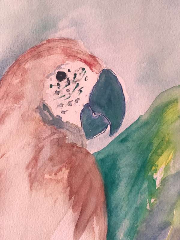 Stunning Huge Water Colour Painting 3 x Parrots in Tropical Tree Original size 95cm x 75cm Signed