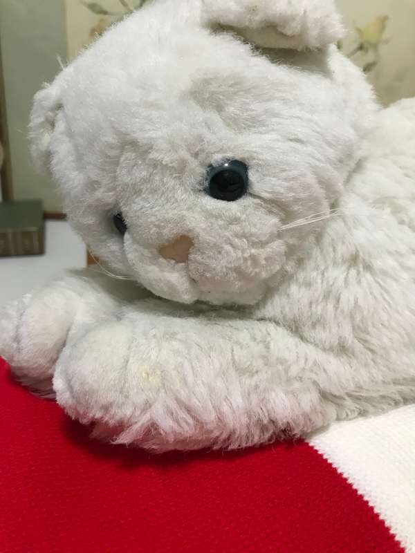 Lot of 2, Stunning White Cat life like and size plus a Cats in Art Book