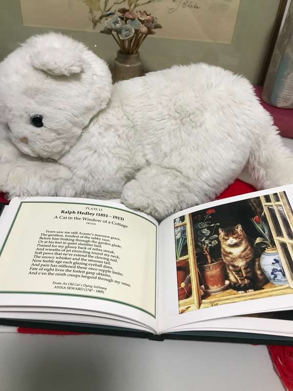 Lot of 2, Stunning White Cat life like and size plus a Cats in Art Book