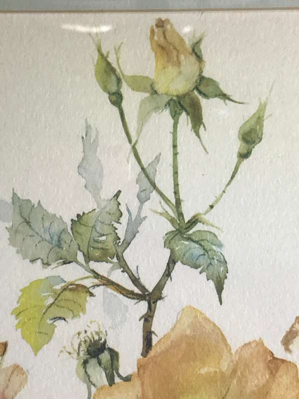 Beautiful Print on board Flowers yellow orange green by J Blake 57cm x 53cm