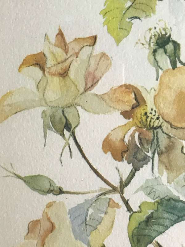 Beautiful Print on board Flowers yellow orange green by J Blake 57cm x 53cm