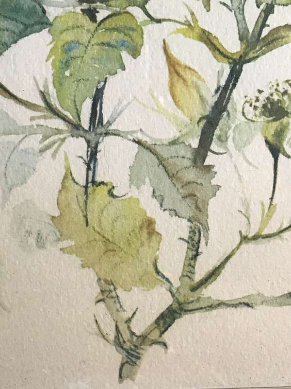 Beautiful Print on board Flowers yellow orange green by J Blake 57cm x 53cm