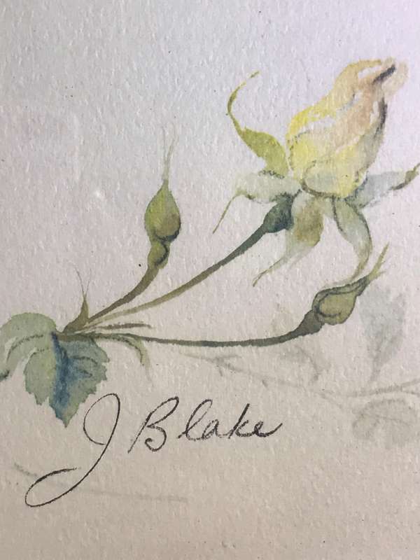 Beautiful Print on board Flowers yellow orange green by J Blake 57cm x 53cm