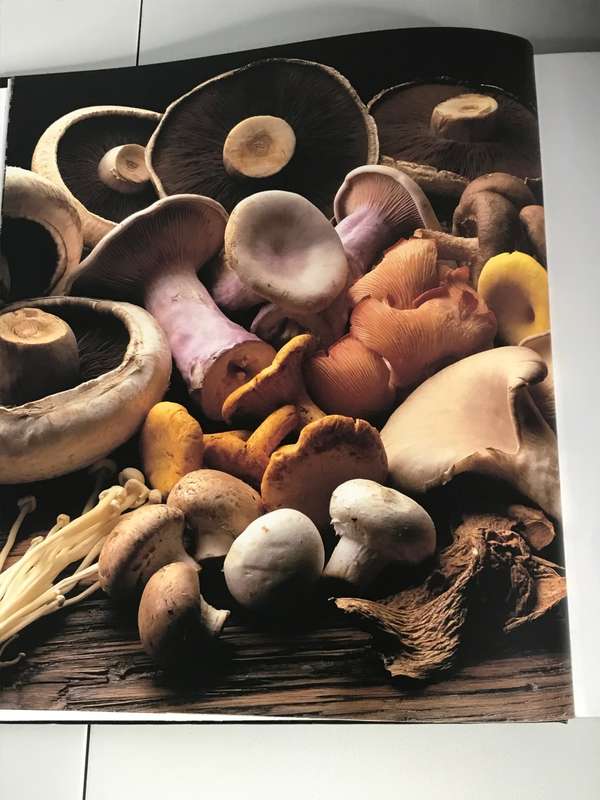 BBC Delias VEGETARIAN COLLECTION Hardcover