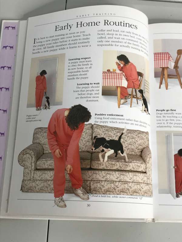 Complete DOG Training Manual Hardcover By Dr Bruce Fogle