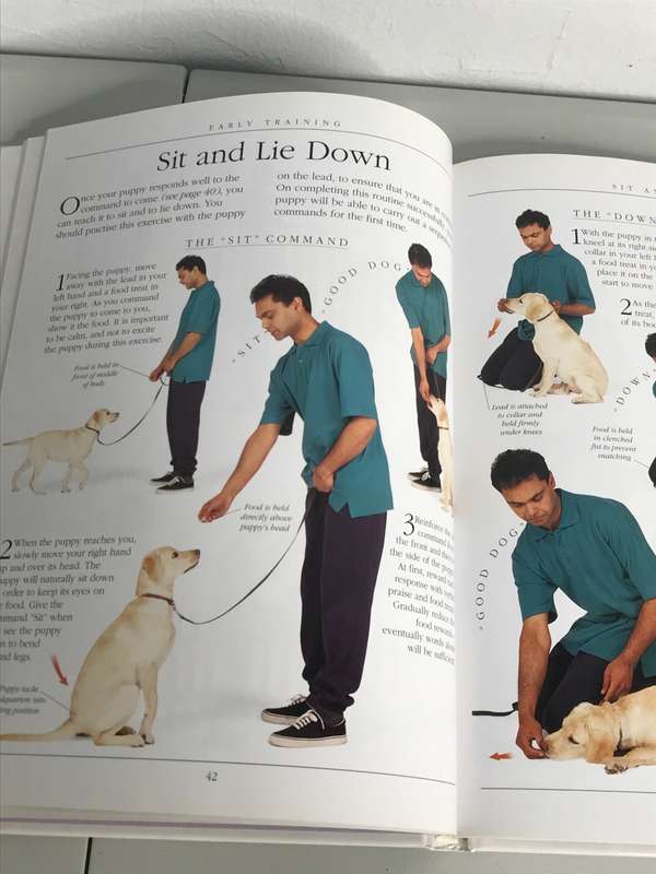 Complete DOG Training Manual Hardcover By Dr Bruce Fogle