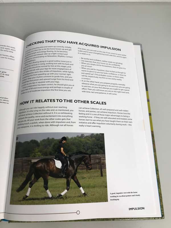 6 Steps to a Schooled Horse  Hardcover