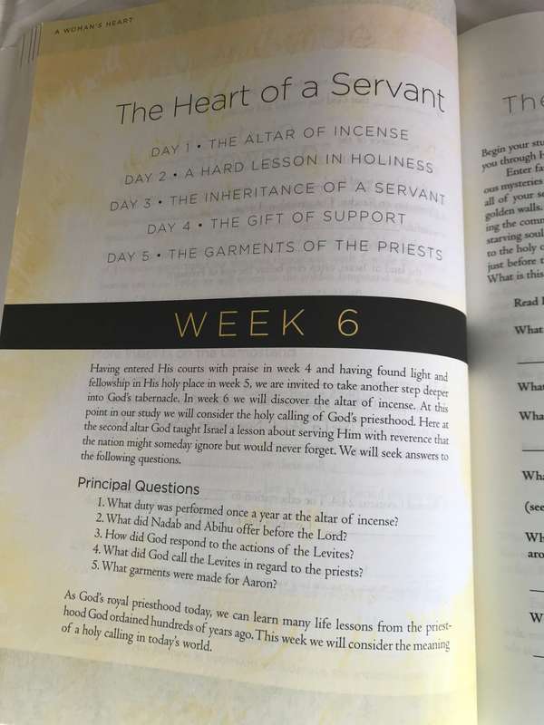 Beth Moore A womans heart Gods dwelling place updated edition