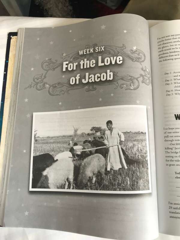 Beth Moore The Patriarchs workbook