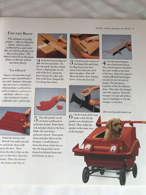 Pamper your Pooch