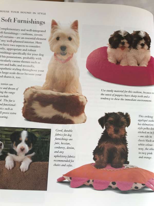 Pamper your Pooch